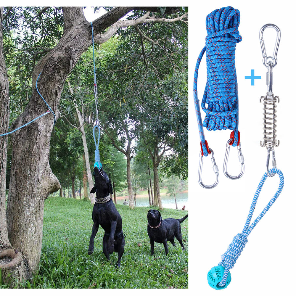 Dog Spring Hanging Training Rope