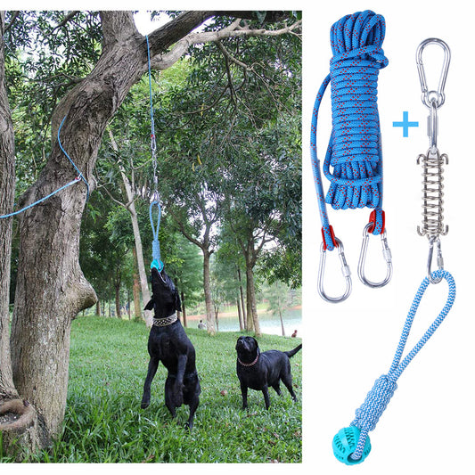 Dog Spring Hanging Training Rope
